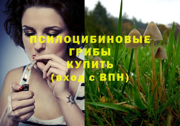 гидропоника Алексин