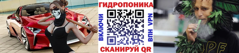 Бошки марихуана SATIVA & INDICA маркетплейс телеграм Ставрополь